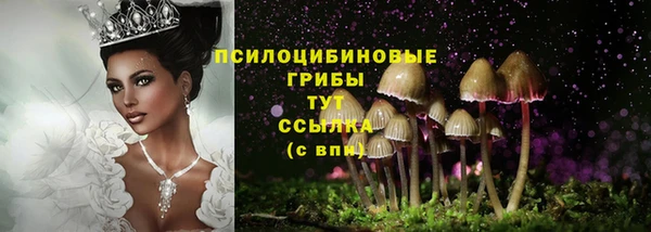 СК Балабаново
